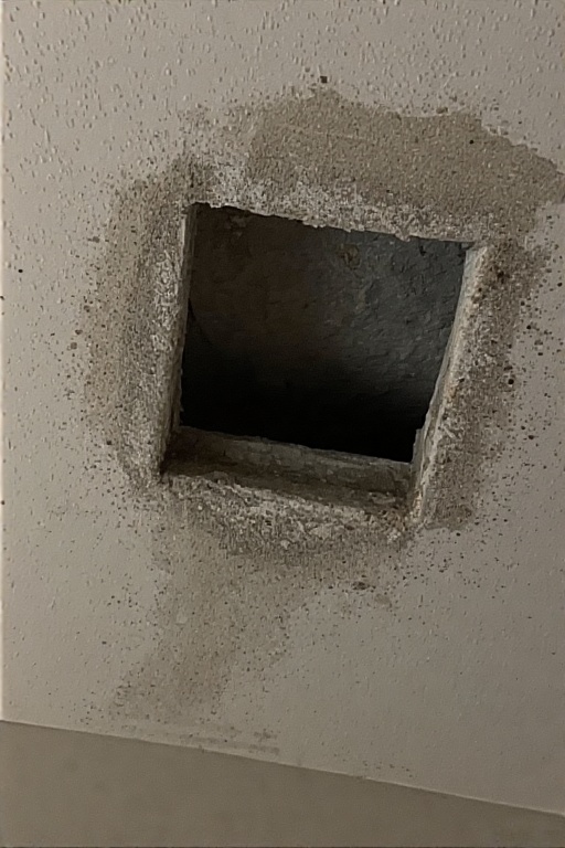 Air Duct Cleaning portrait